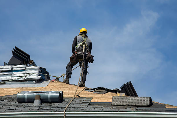 Professional Roof Repair technician working in Drain, OR